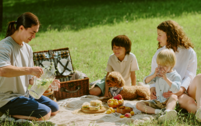 Using a Family Picnic to Practice Communication and Turn-Taking Skills