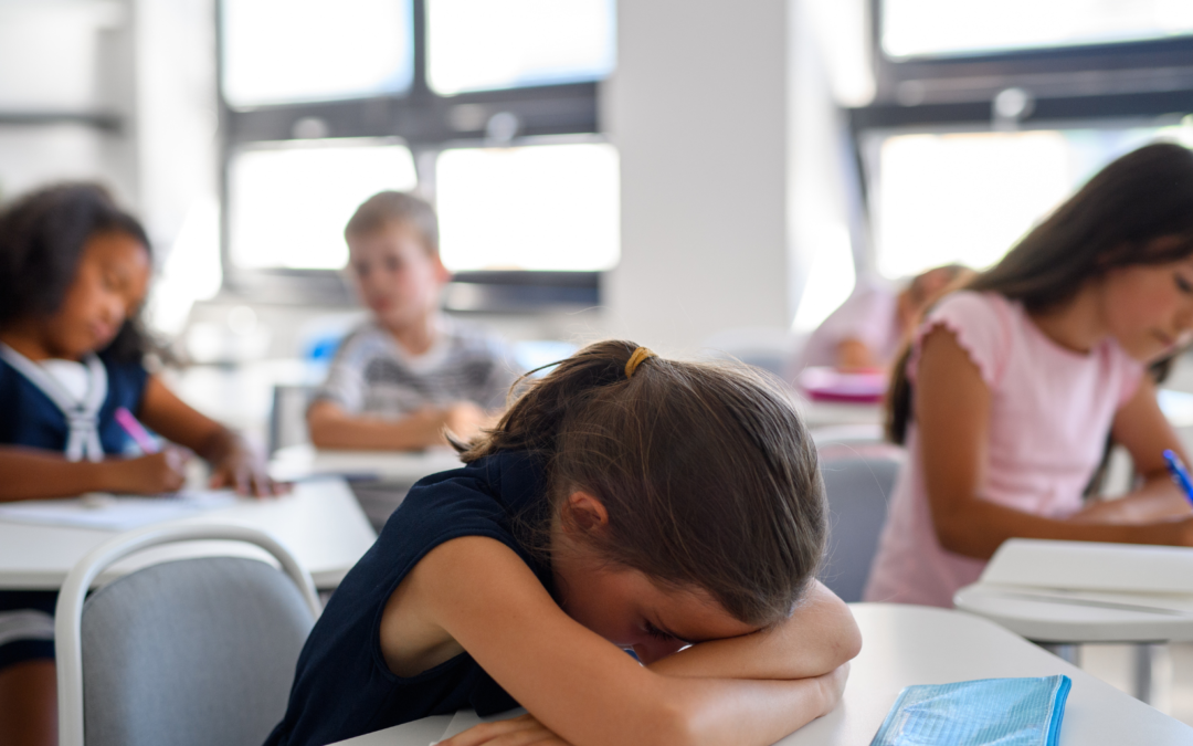 Back to School Transition